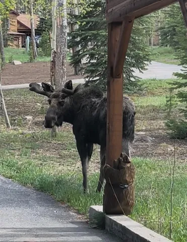 a view of a backyard of the house