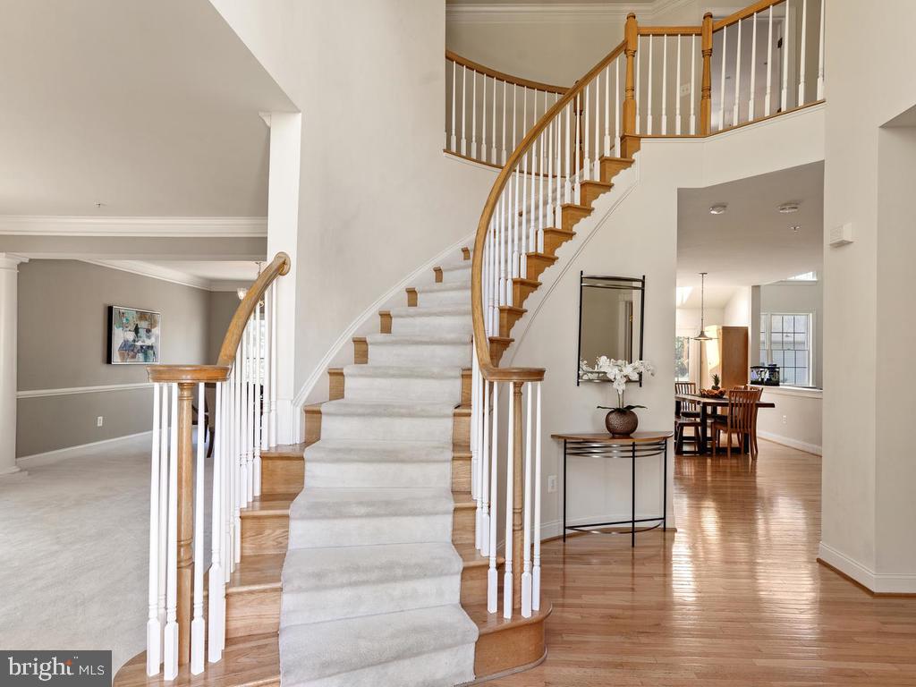 18324 Tapwood Road Boyds, MD 20841 - Photo 5 of 47 Elegant curved staircase