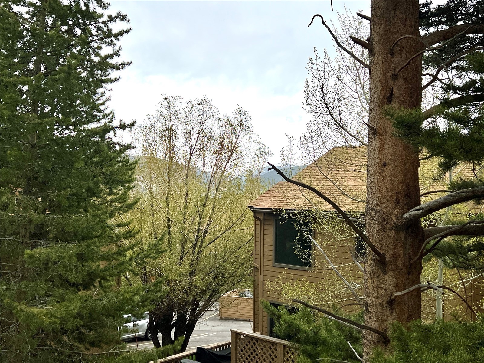 6722 Ryan Gulch Road, Unit 6722 Silverthorne, CO 80498 - Photo 10 of 28