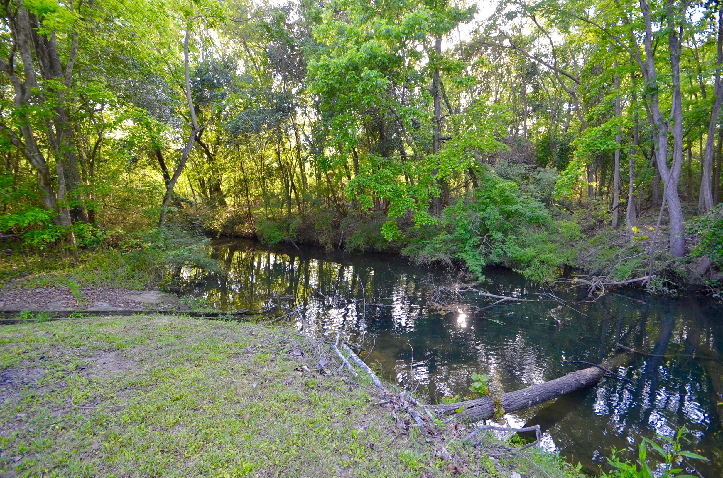 1627 State Rd S-8-700 Moncks Corner, SC 29461 - Photo 29 of 35 DSC_0728