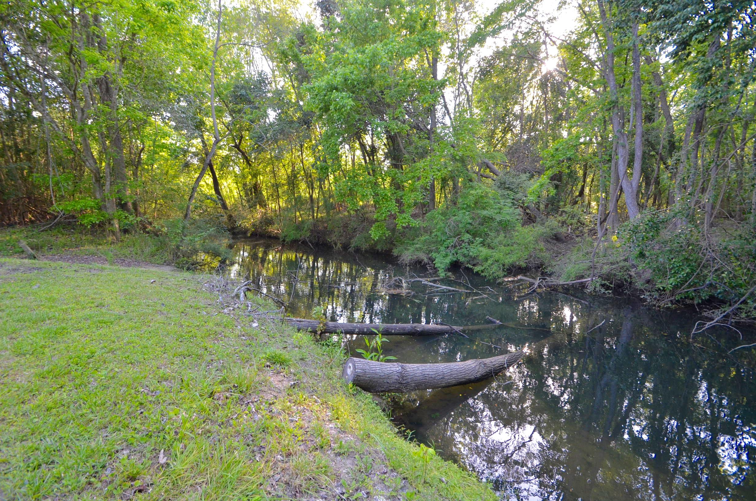 1627 State Rd S-8-700 Moncks Corner, SC 29461 - Photo 30 of 35 DSC_0729