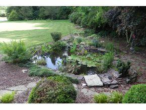 4624 Mebane Rogers Road Mebane, NC 27302 - Photo 7 of 24 Gallery Image 7