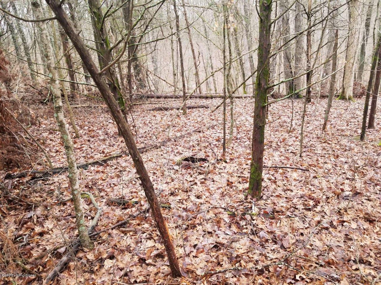 4 Briar Ridge Road Mount Eden, KY 40046 - Photo 4 of 6 Lot