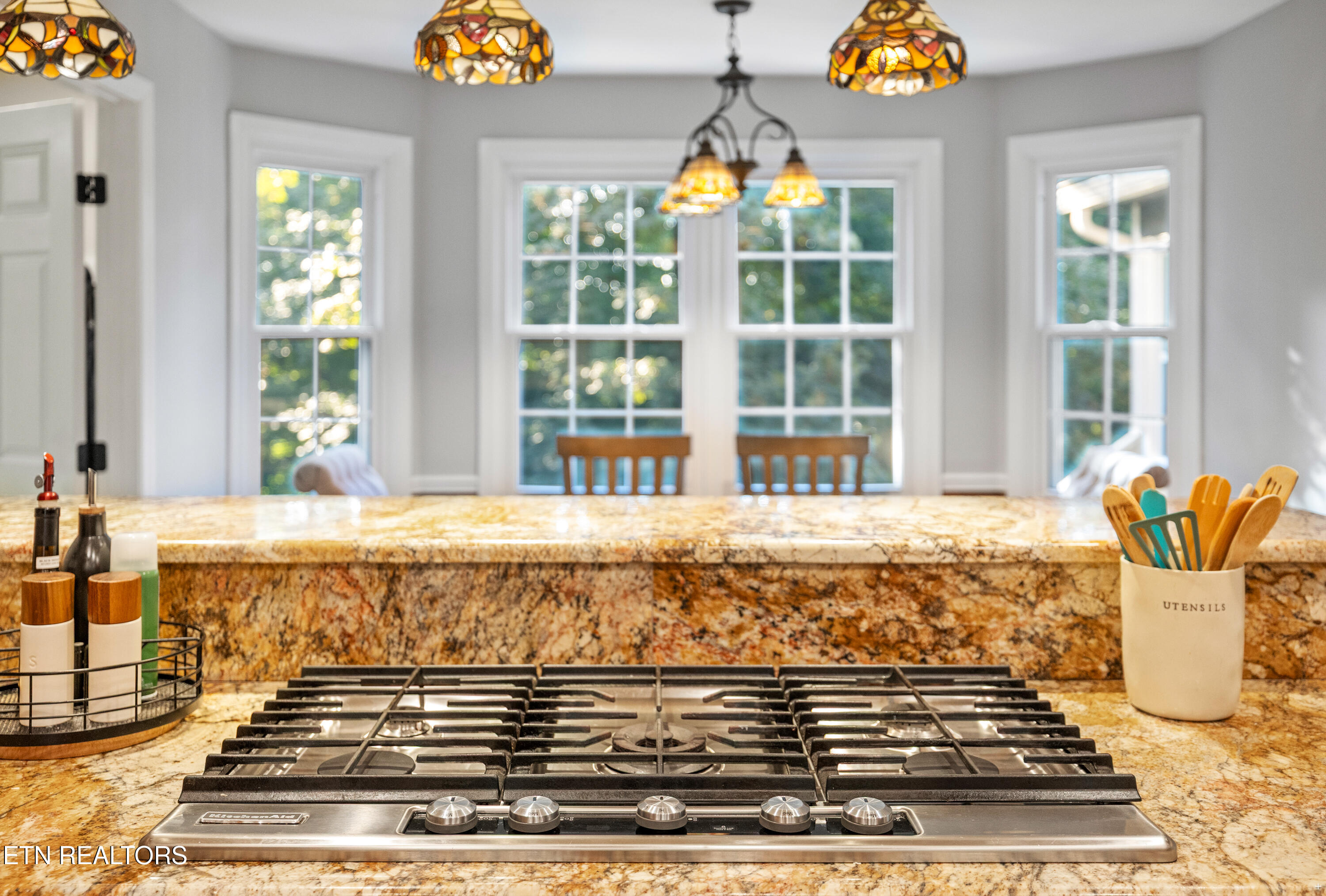 910 Forest Ridge Circle Knoxville, TN 37932 - Photo 6 of 38 Positive Perceptions-6