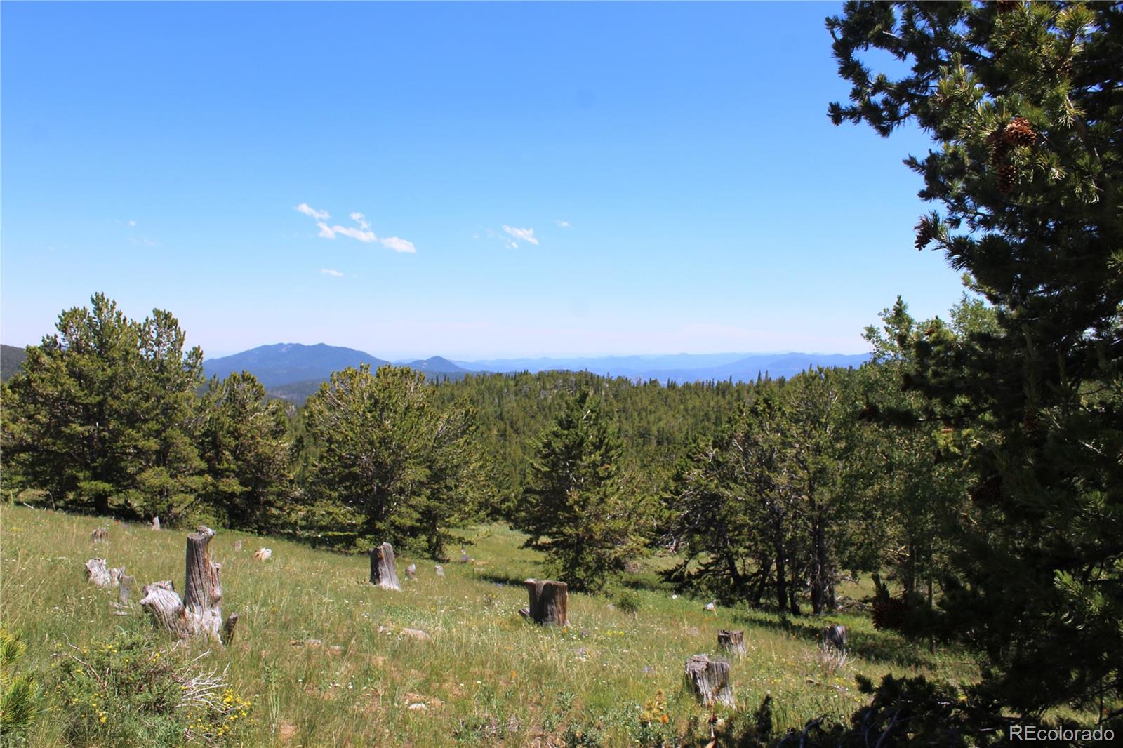 1595 Missouri Gulch Road Black Hawk, CO 80422 - Photo 38 of 49