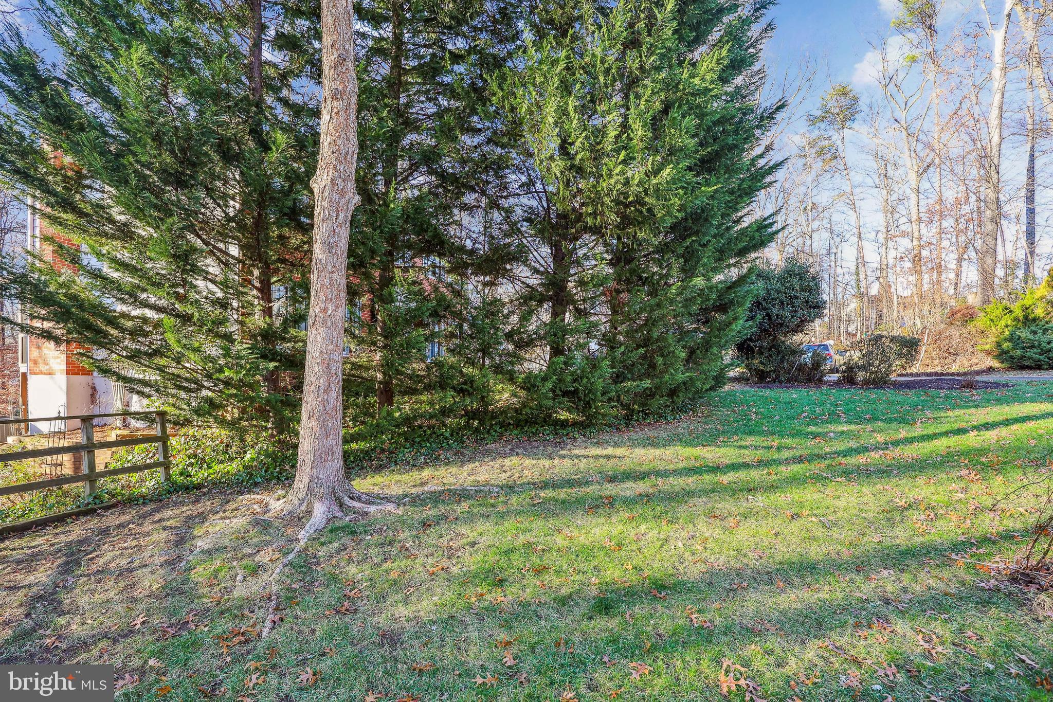 7122 Rolling Forest Avenue Springfield, VA 22152 - Photo 56 of 58