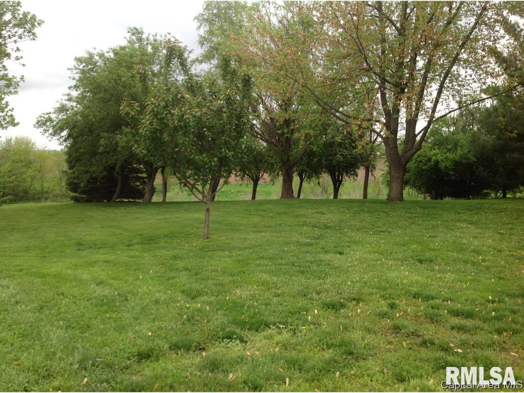 2908 Old State Road Alexander, IL 62601 - Photo 19 of 33