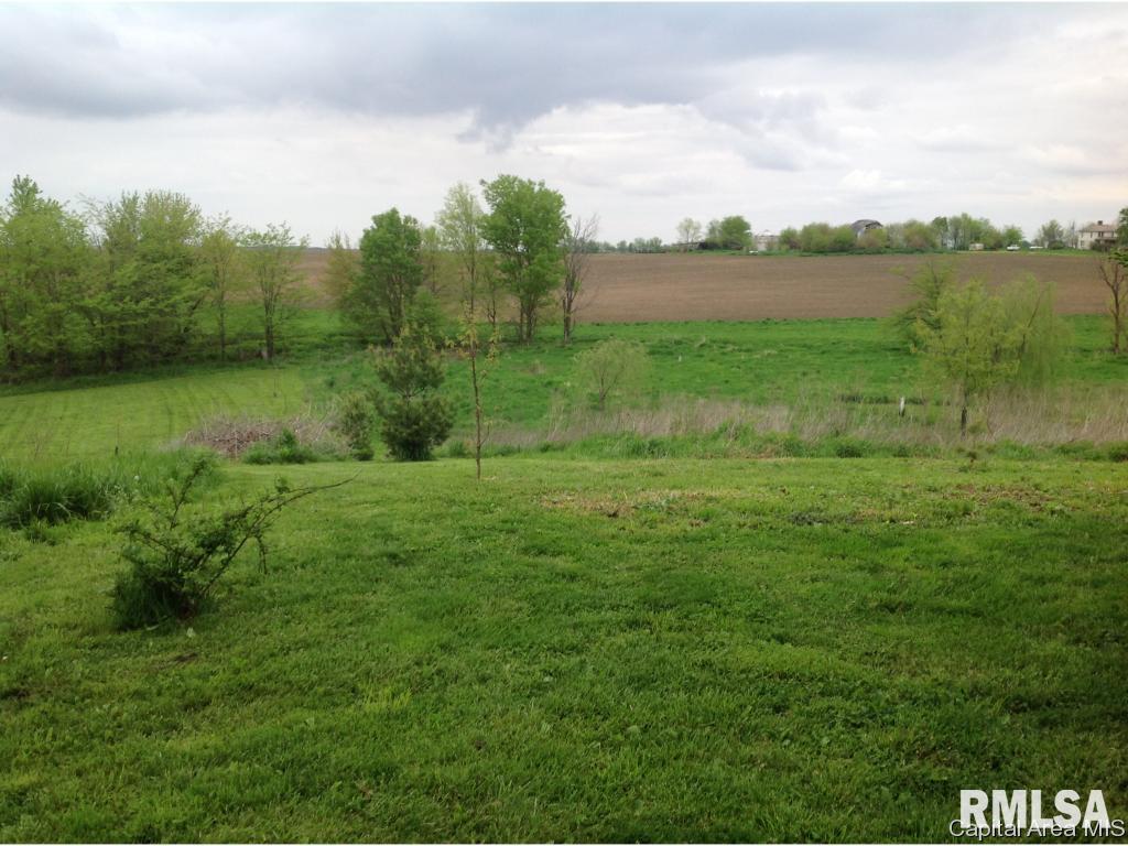 2908 Old State Road Alexander, IL 62601 - Photo 20 of 33