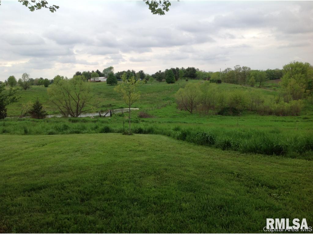 2908 Old State Road Alexander, IL 62601 - Photo 21 of 33