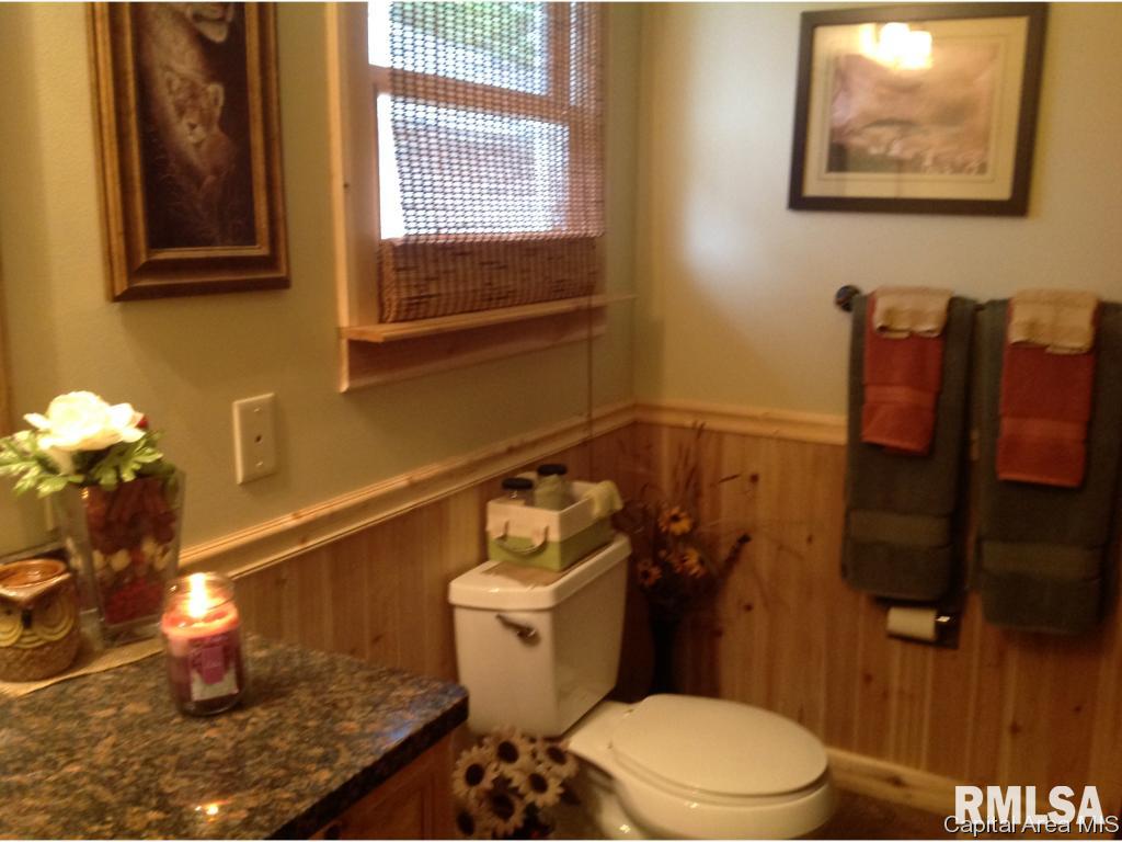 2908 Old State Road Alexander, IL 62601 - Photo 25 of 33