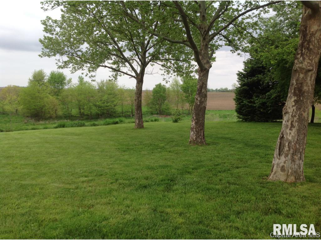 2908 Old State Road Alexander, IL 62601 - Photo 30 of 33