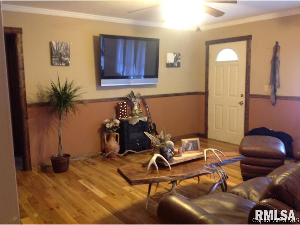 2908 Old State Road Alexander, IL 62601 - Photo 3 of 33