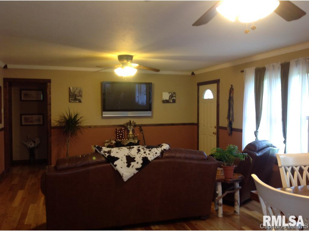 2908 Old State Road Alexander, IL 62601 - Photo 4 of 33