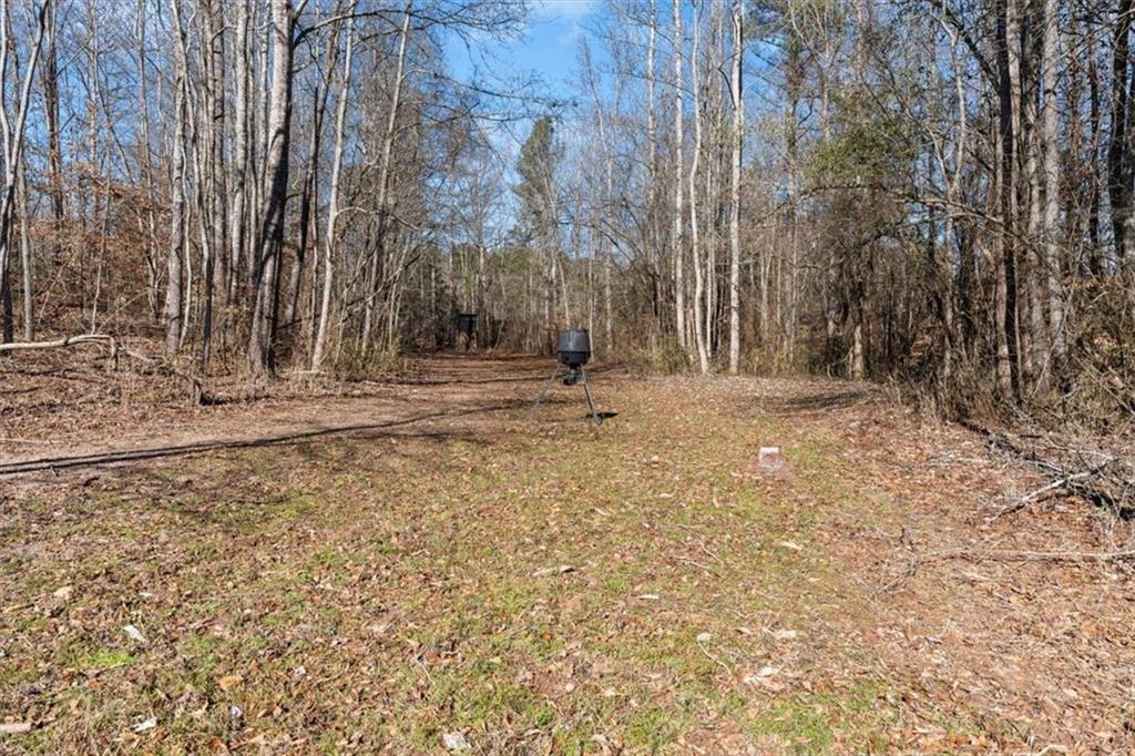 80 Hand Road Bowdon, GA 30108 - Photo 52 of 83