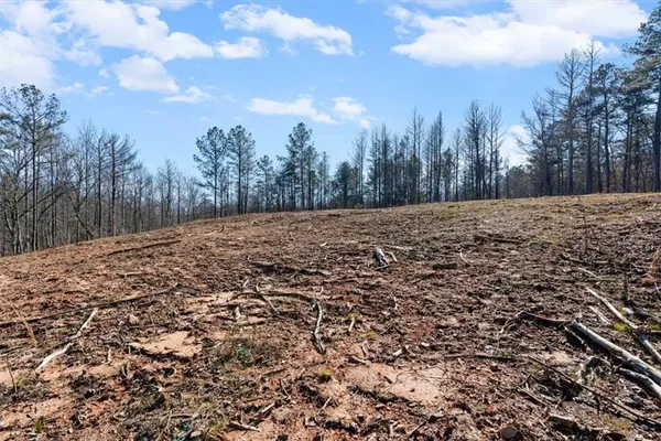 $650,000 | 80 Hand Road, Bowdon, GA 30108