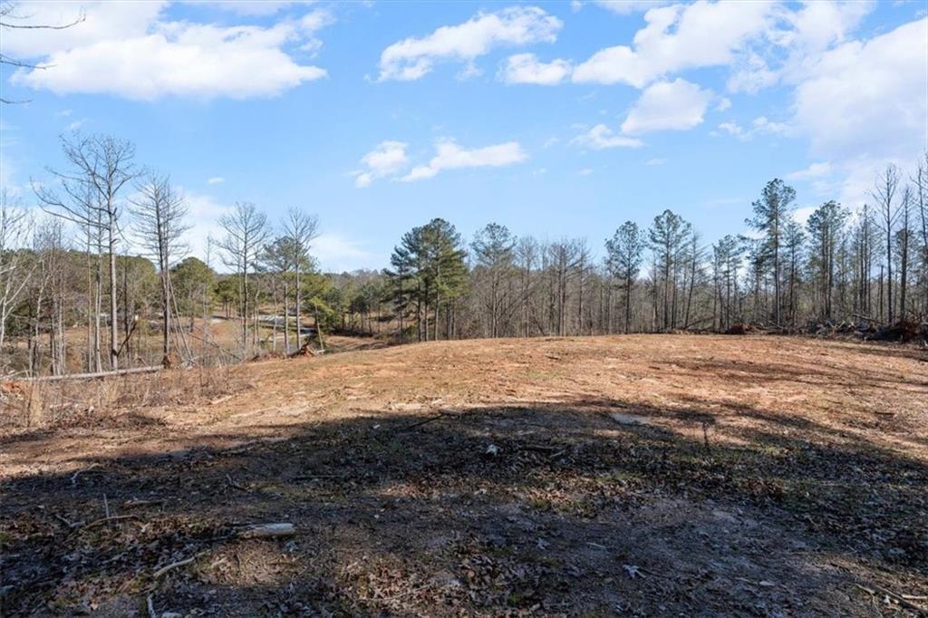 80 Hand Road Bowdon, GA 30108 - Photo 57 of 83