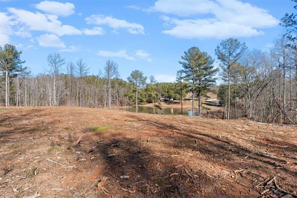 80 Hand Road Bowdon, GA 30108 - Photo 59 of 83