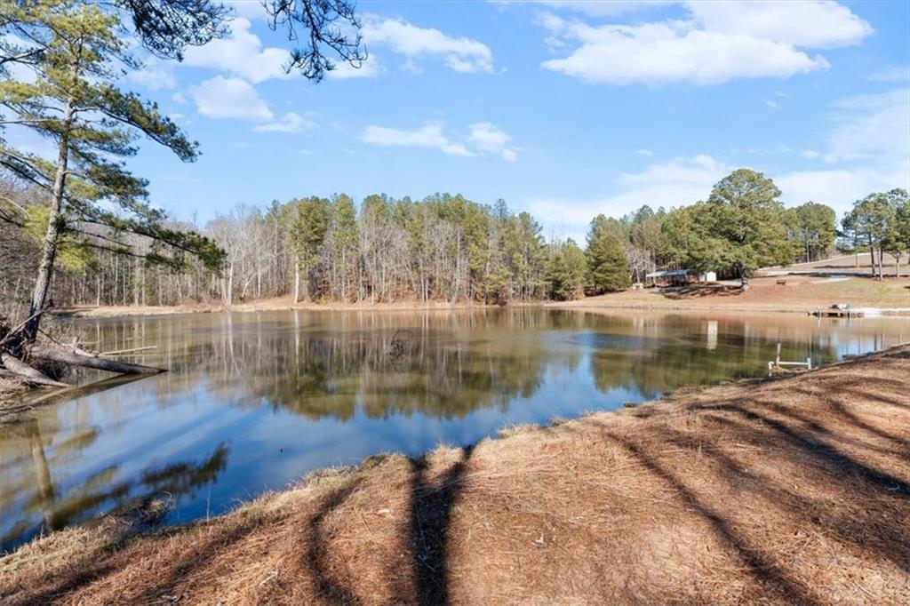 80 Hand Road Bowdon, GA 30108 - Photo 60 of 83