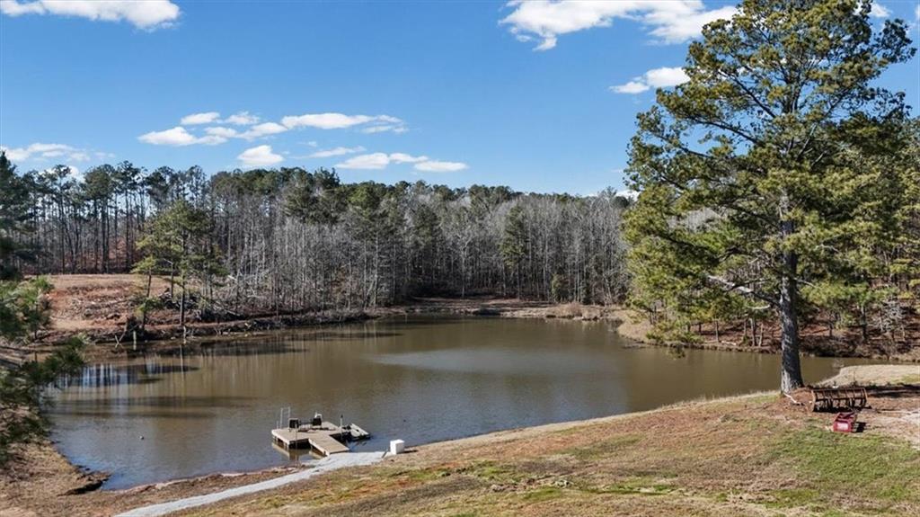 80 Hand Road Bowdon, GA 30108 - Photo 62 of 83