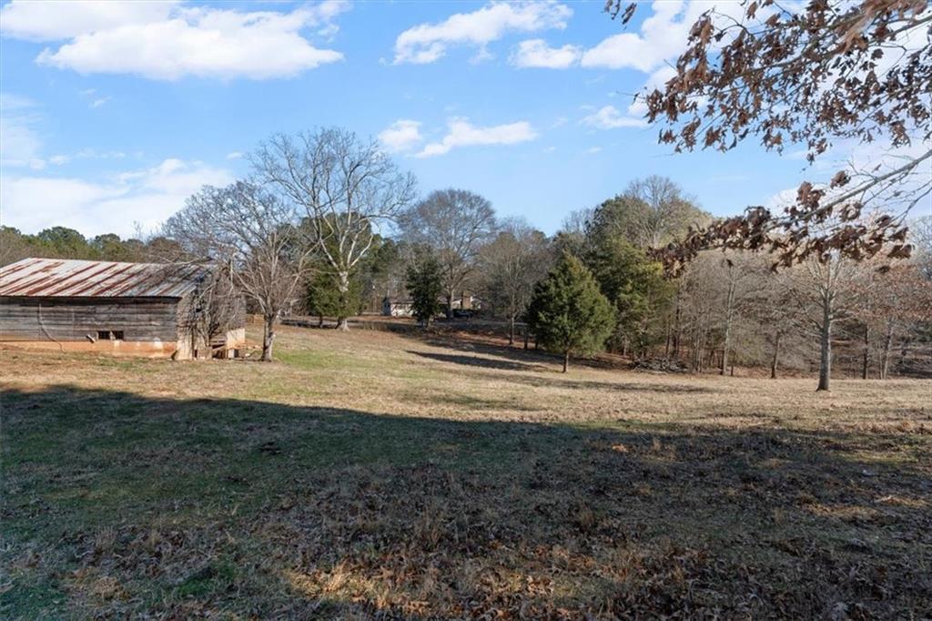 80 Hand Road Bowdon, GA 30108 - Photo 67 of 83 a view of dirt yard with large trees