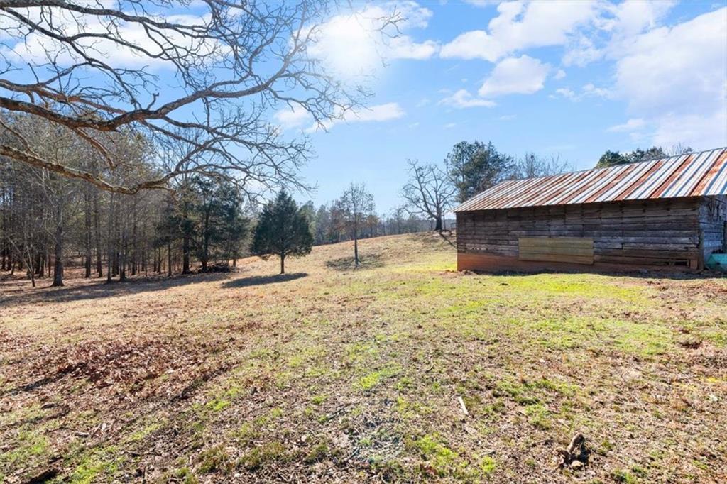 80 Hand Road Bowdon, GA 30108 - Photo 68 of 83 a view of a yard with snow on the road