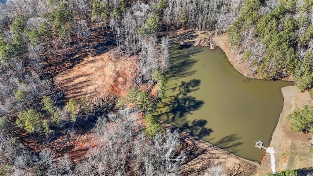 80 Hand Road Bowdon, GA 30108 - Photo 72 of 83 a view of lake from a house