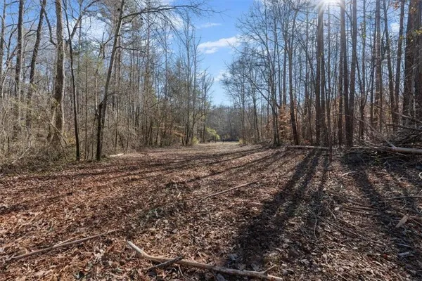 $650,000 | 80 Hand Road, Bowdon, GA 30108