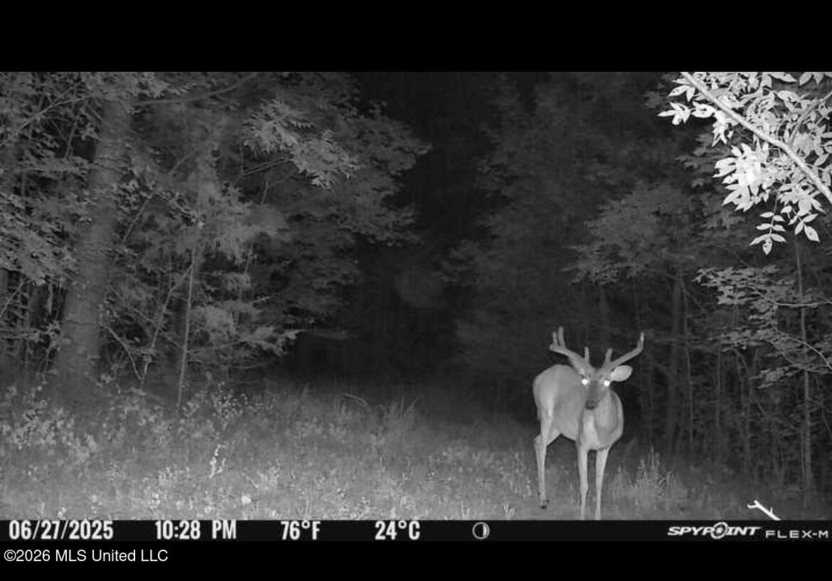 1200 Pottery Road Michigan City, MS 38647 - Photo 12 of 43 IMG_4476