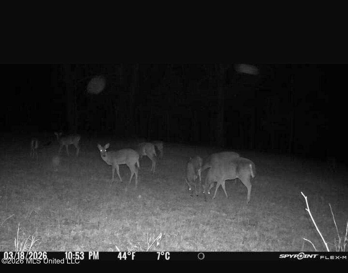 1200 Pottery Road Michigan City, MS 38647 - Photo 13 of 43 IMG_4477