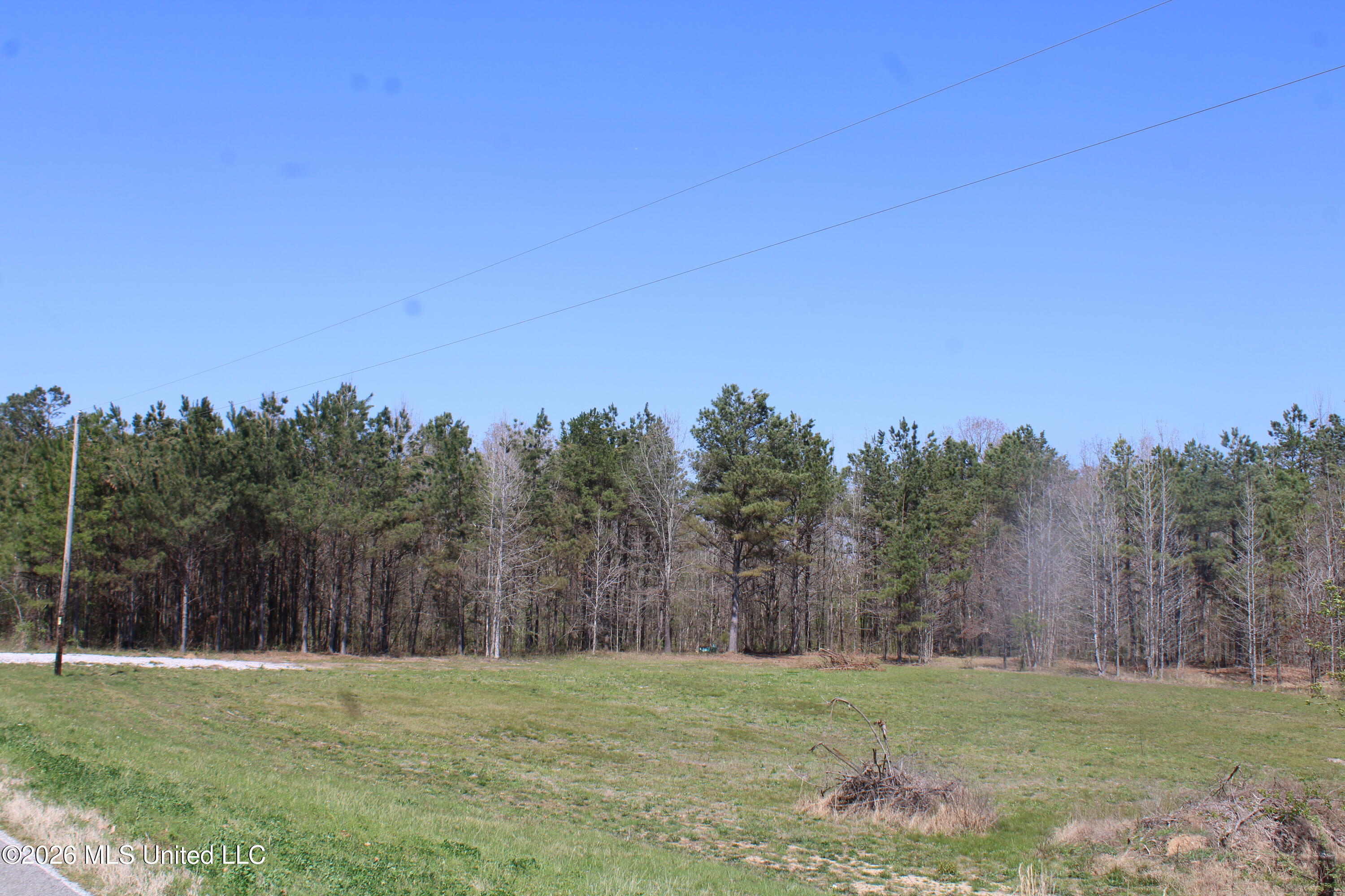 1200 Pottery Road Michigan City, MS 38647 - Photo 18 of 43 IMG_7614