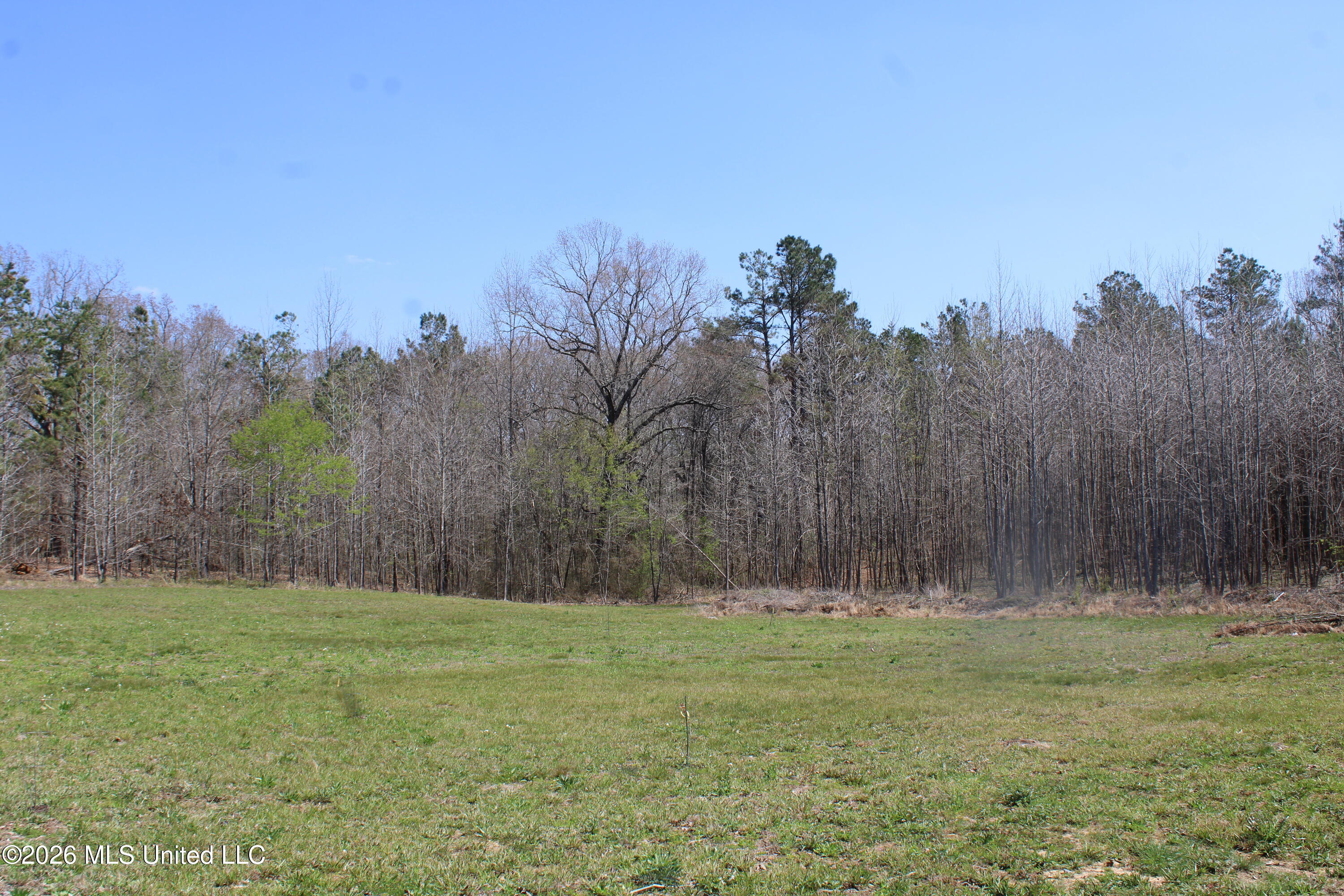 1200 Pottery Road Michigan City, MS 38647 - Photo 19 of 43 IMG_7615