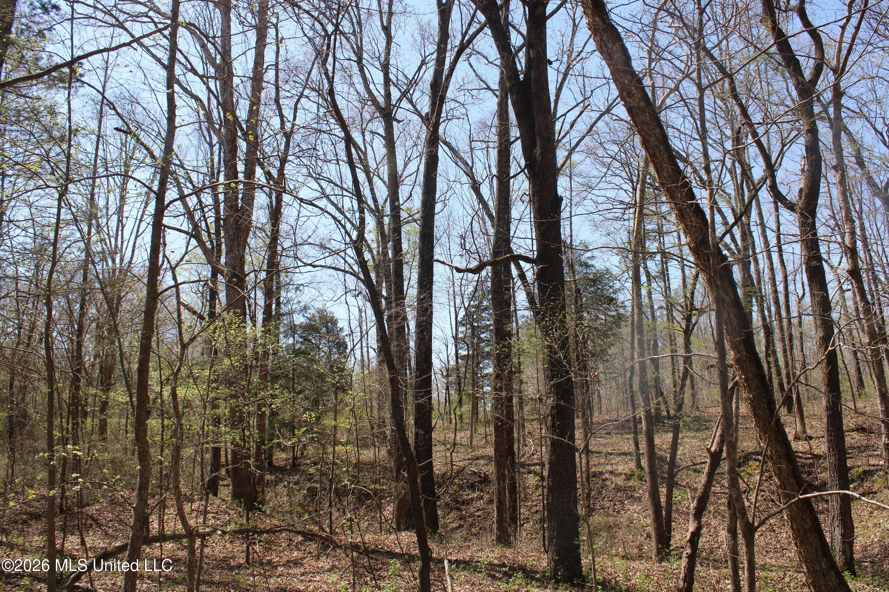 1200 Pottery Road Michigan City, MS 38647 - Photo 21 of 43 IMG_7617