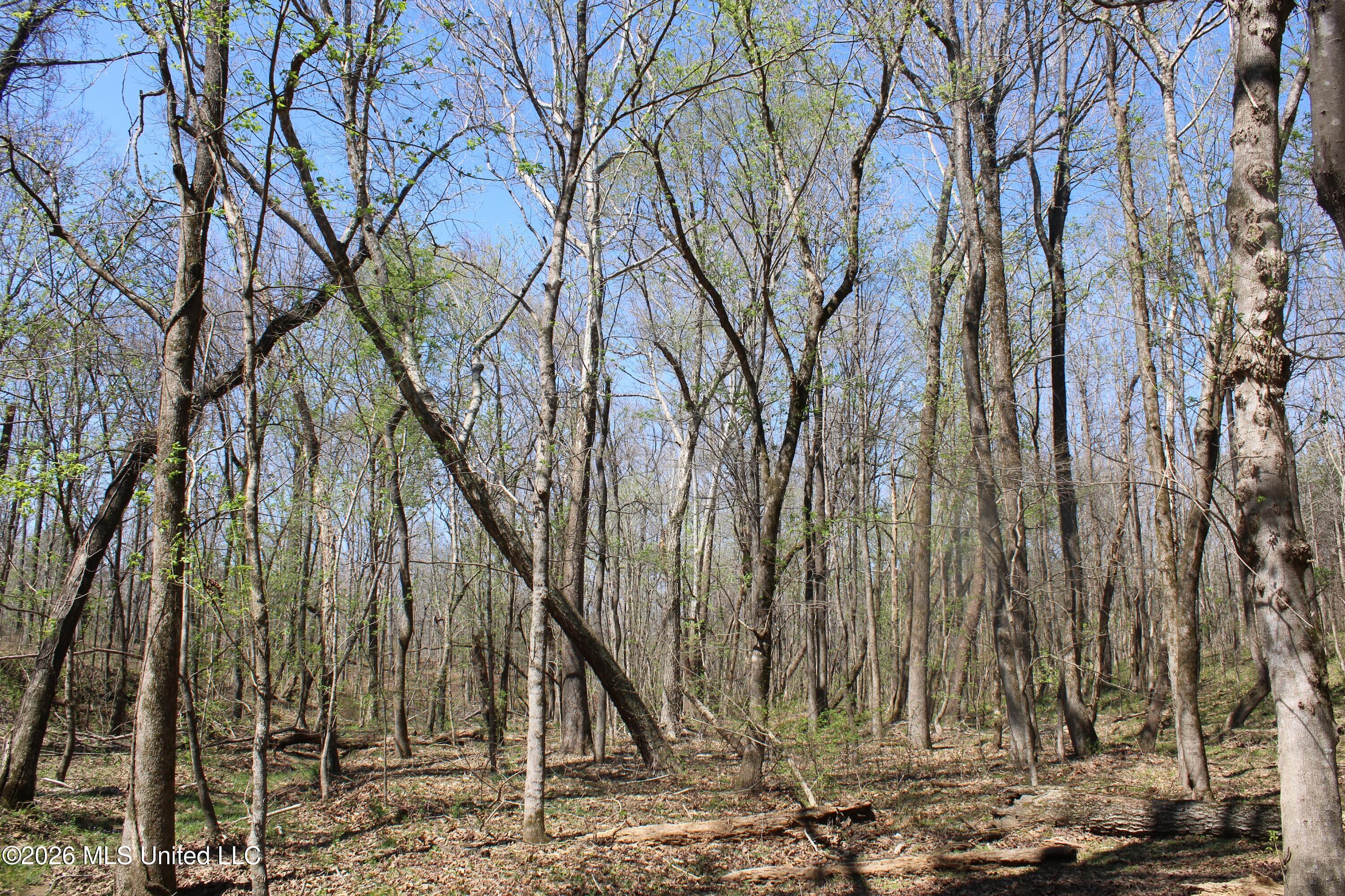 1200 Pottery Road Michigan City, MS 38647 - Photo 22 of 43 IMG_7618