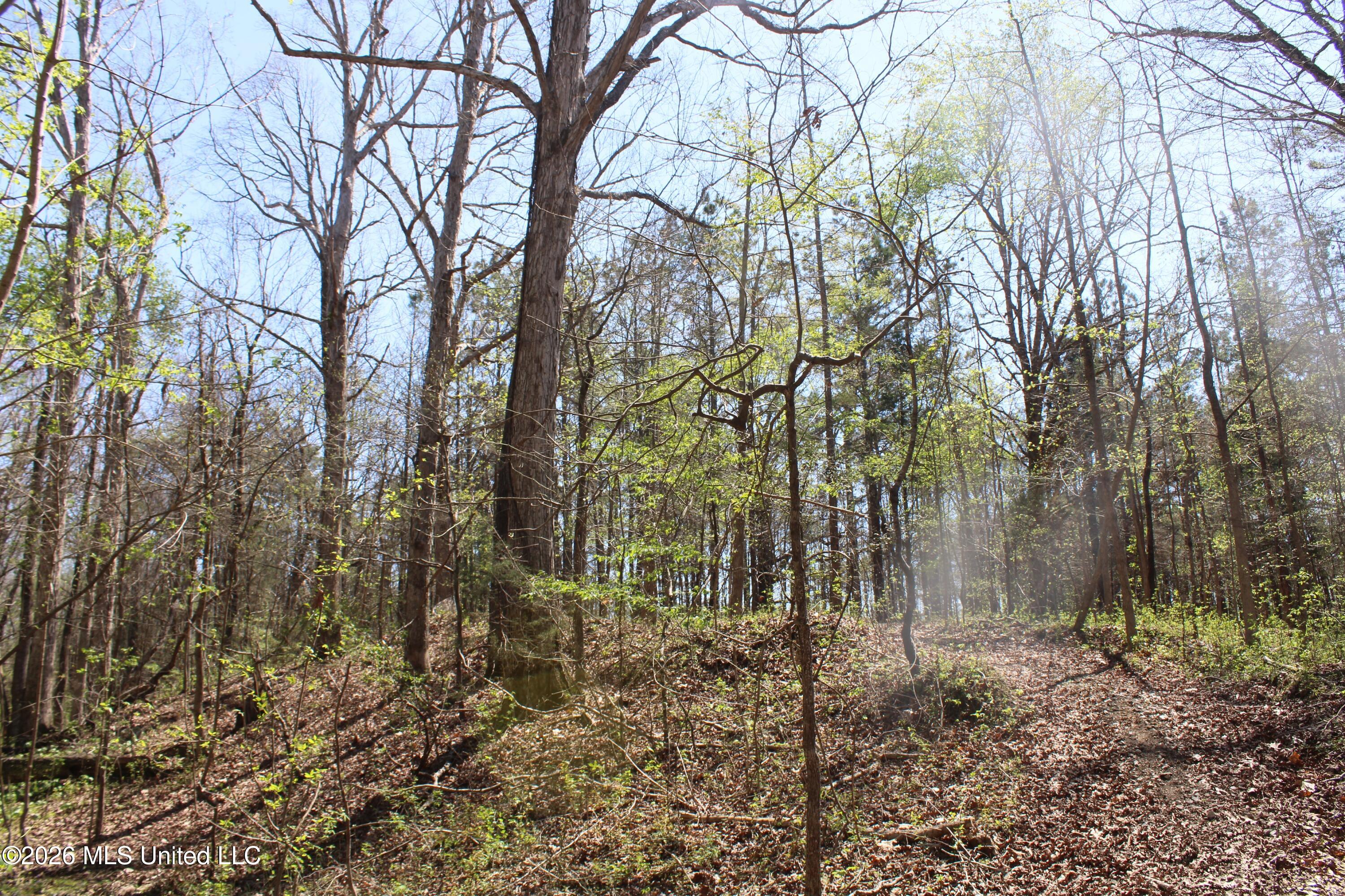 1200 Pottery Road Michigan City, MS 38647 - Photo 23 of 43 IMG_7619