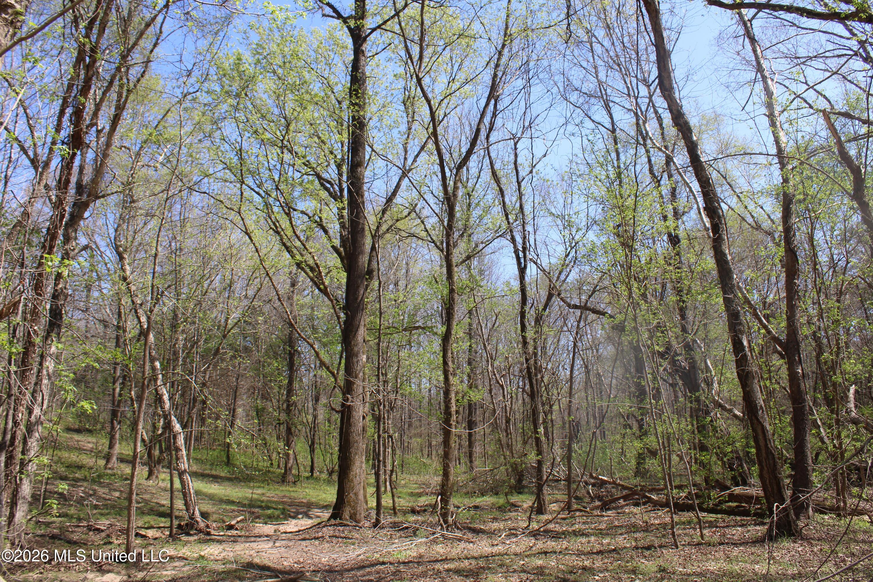 1200 Pottery Road Michigan City, MS 38647 - Photo 25 of 43 IMG_7621