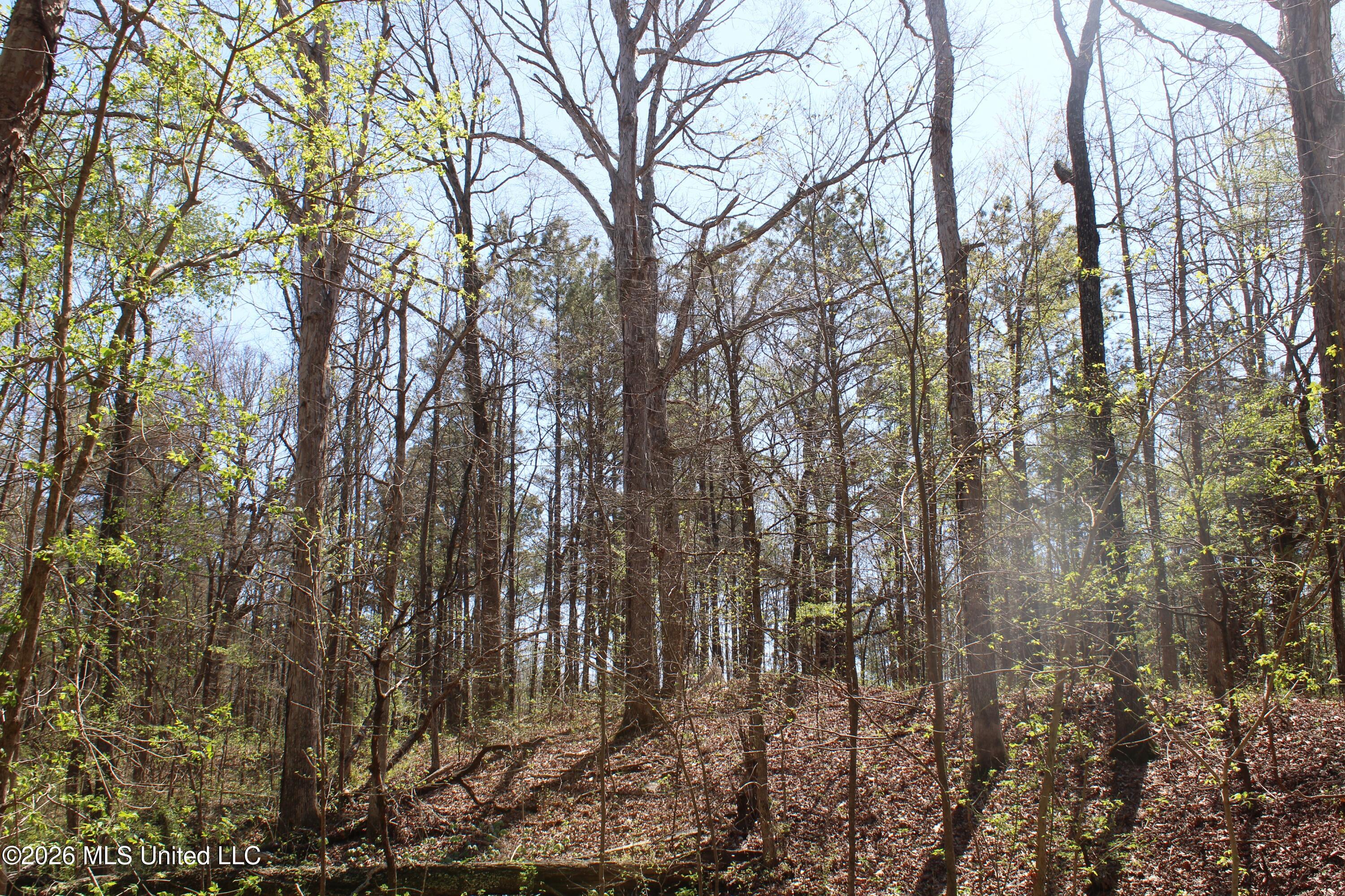 1200 Pottery Road Michigan City, MS 38647 - Photo 26 of 43 IMG_7622