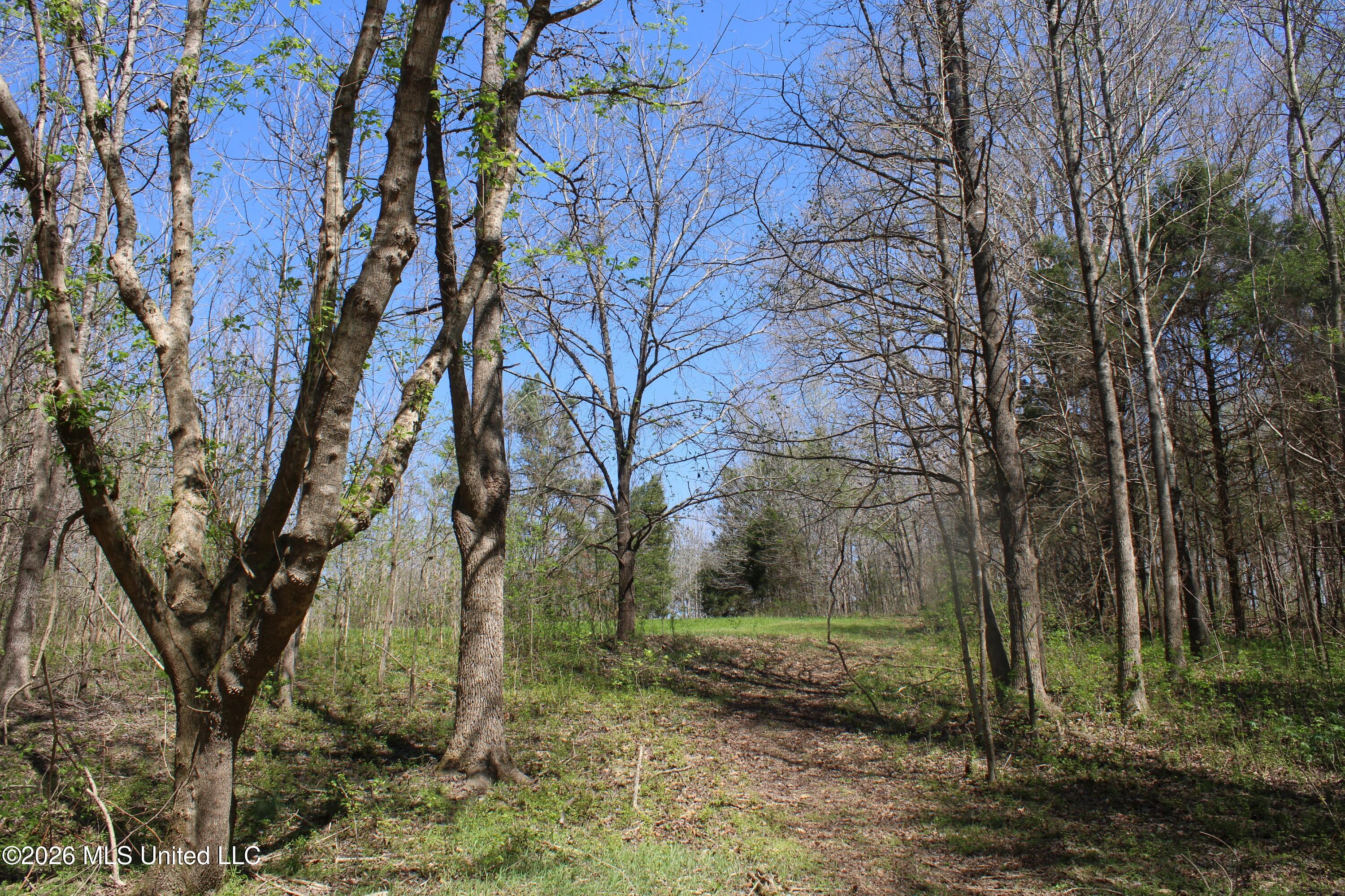 1200 Pottery Road Michigan City, MS 38647 - Photo 27 of 43 IMG_7623