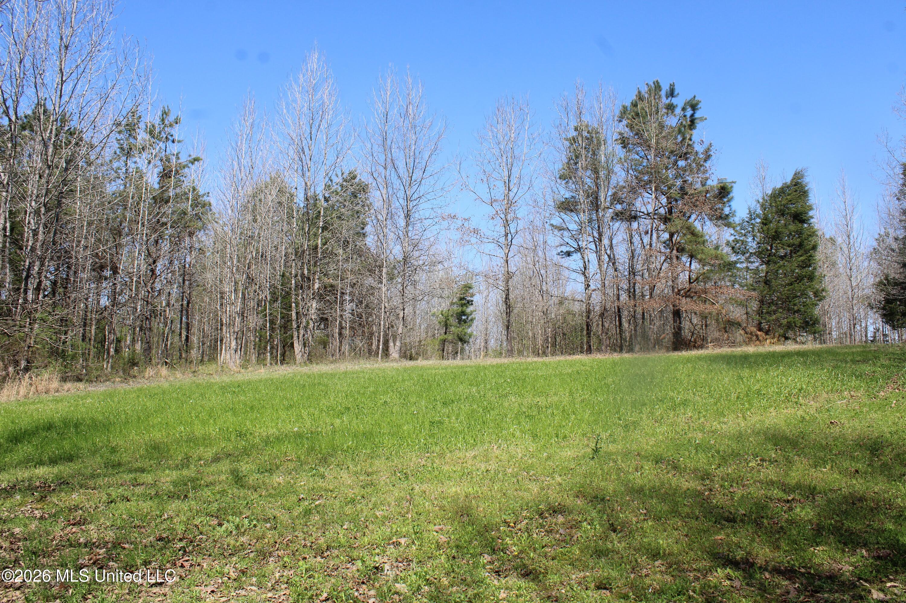 1200 Pottery Road Michigan City, MS 38647 - Photo 28 of 43 IMG_7624