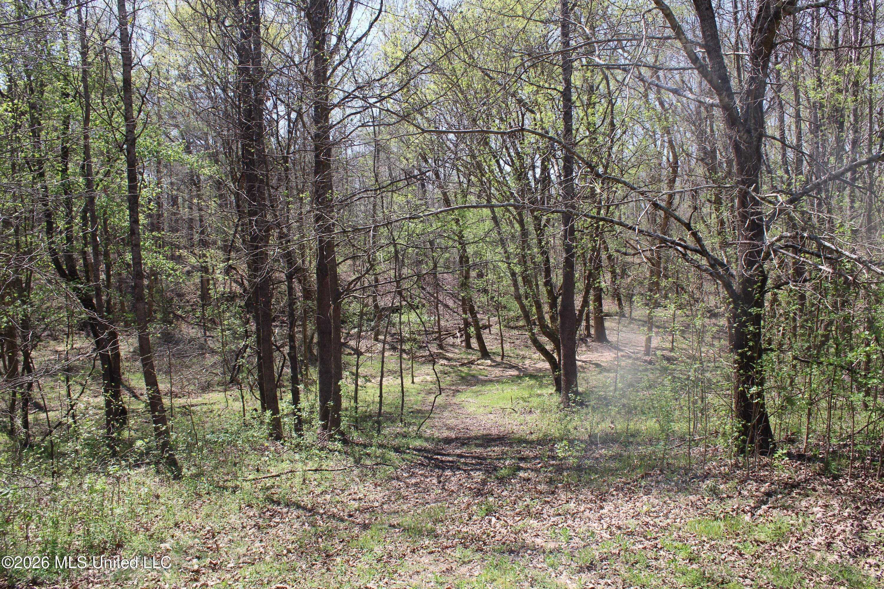 1200 Pottery Road Michigan City, MS 38647 - Photo 29 of 43 IMG_7625