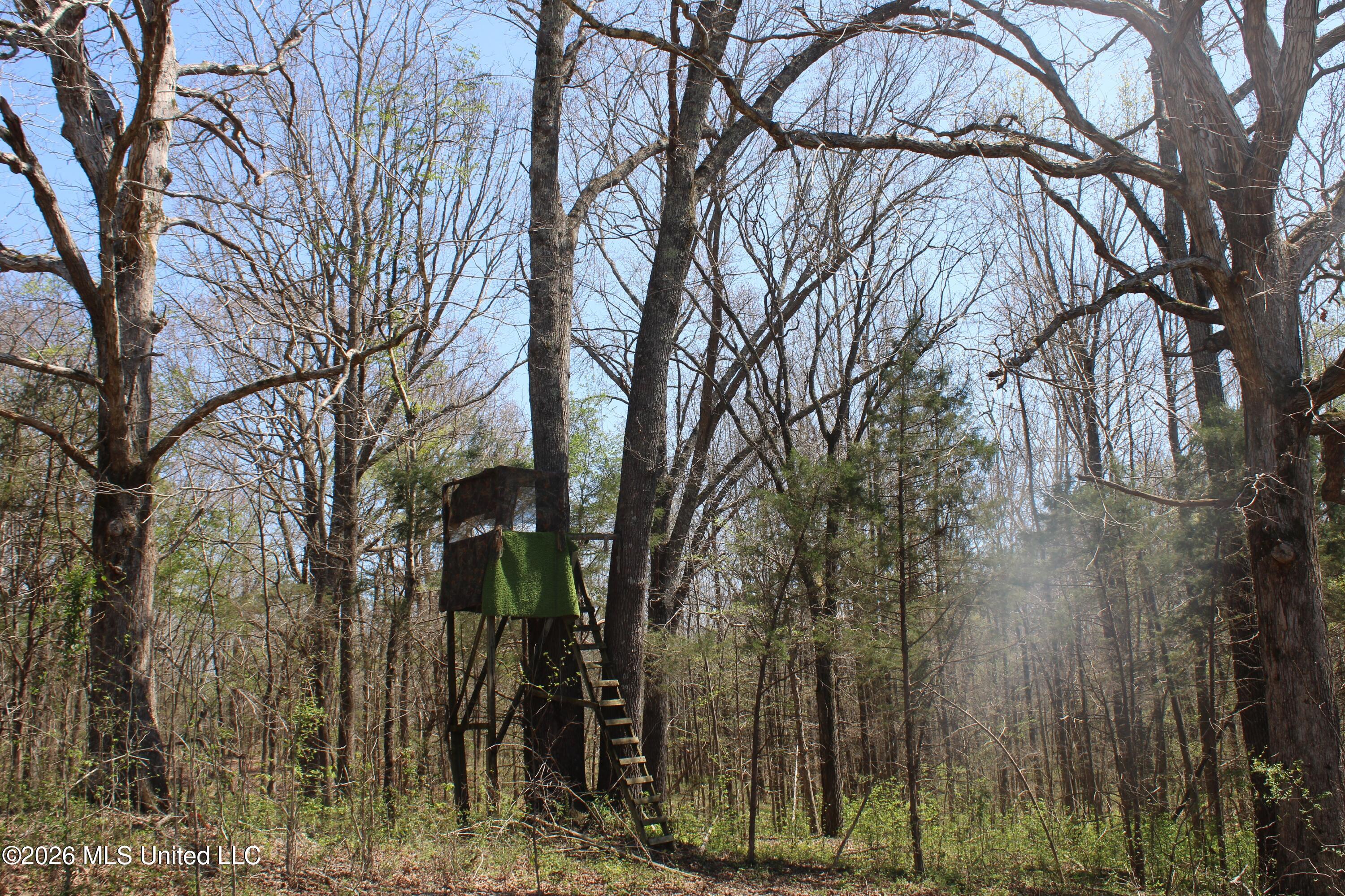 1200 Pottery Road Michigan City, MS 38647 - Photo 30 of 43 IMG_7626