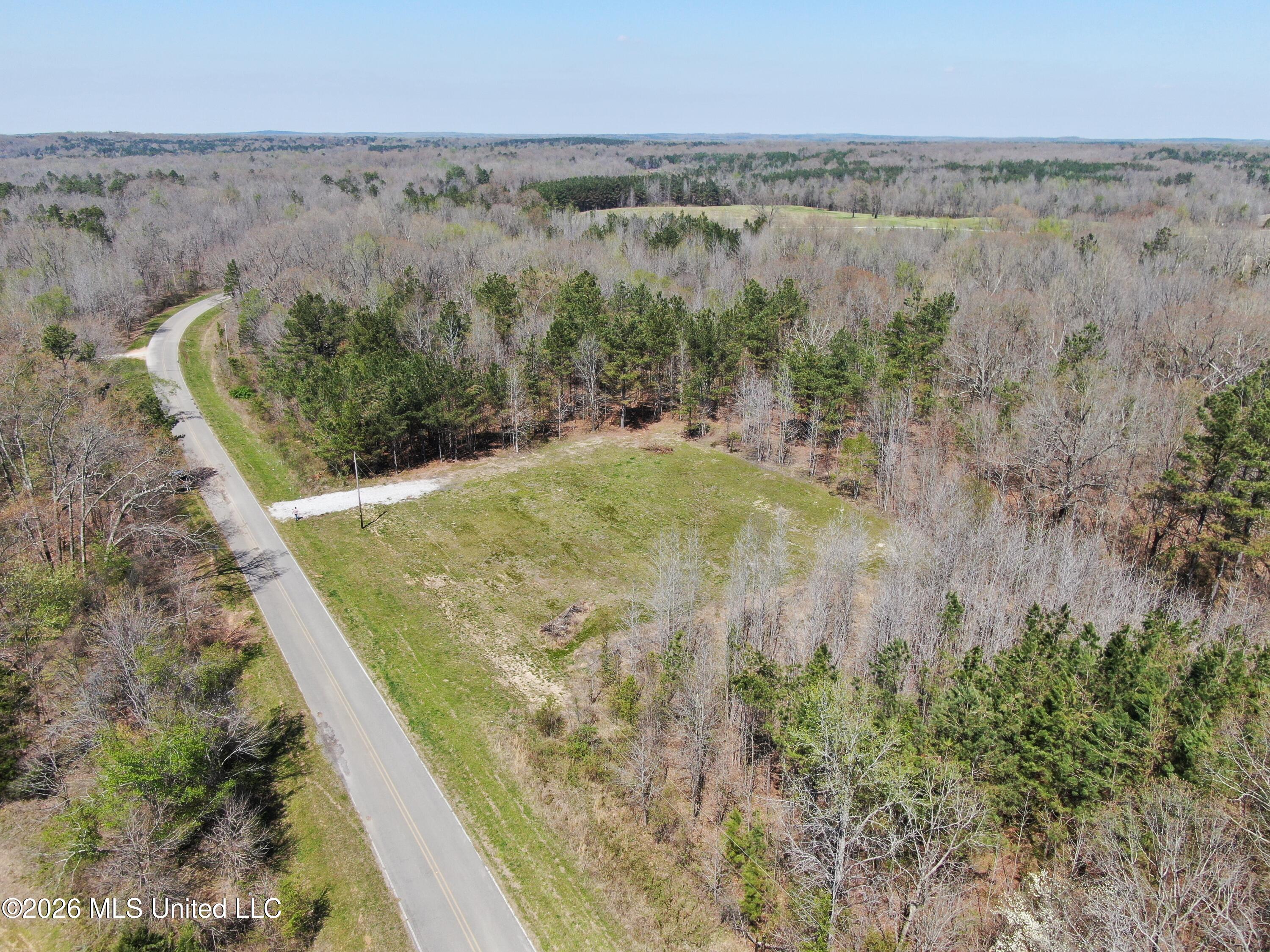 1200 Pottery Road Michigan City, MS 38647 - Photo 3 of 43 DJI_0887
