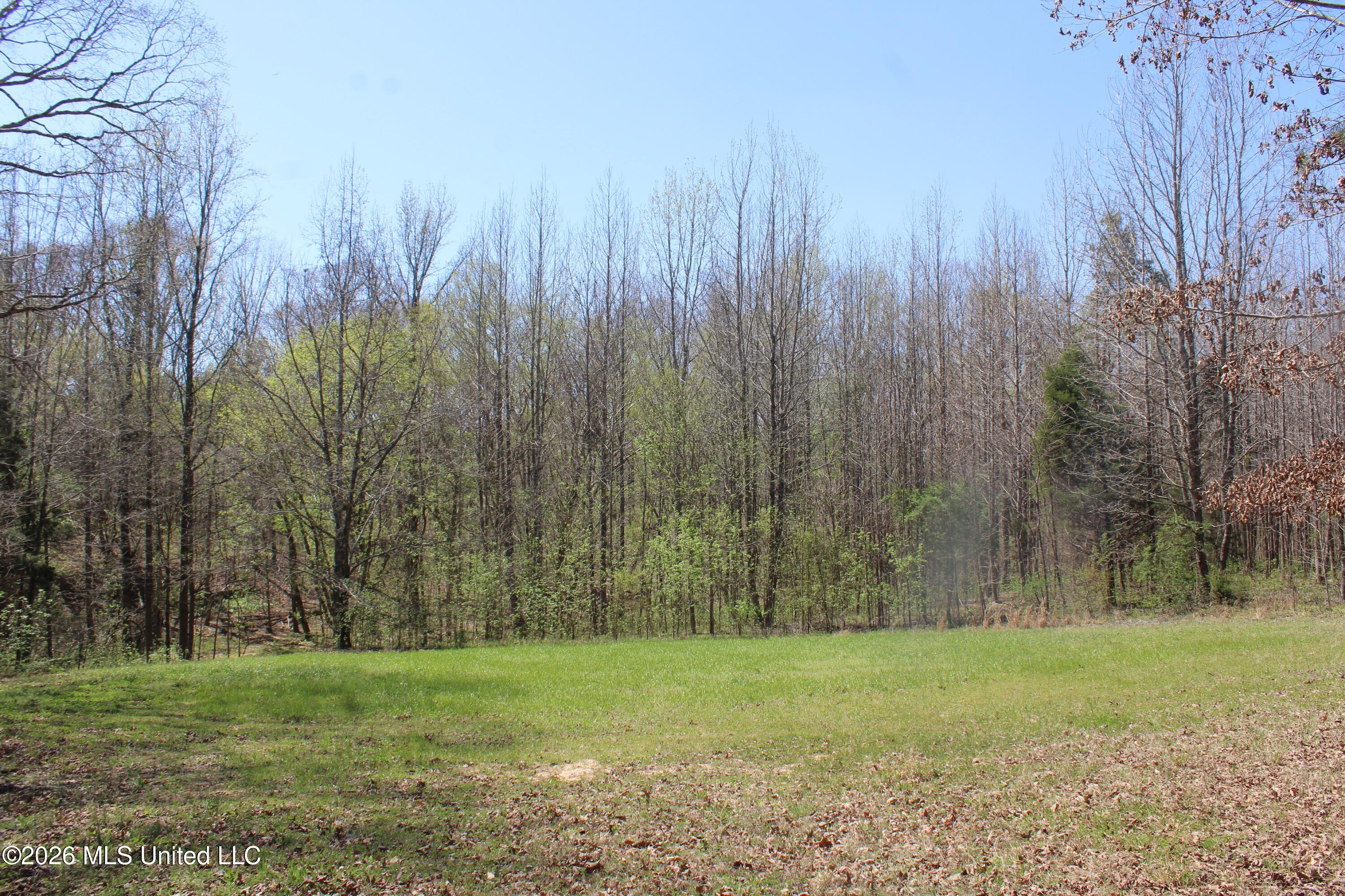 1200 Pottery Road Michigan City, MS 38647 - Photo 31 of 43 IMG_7627