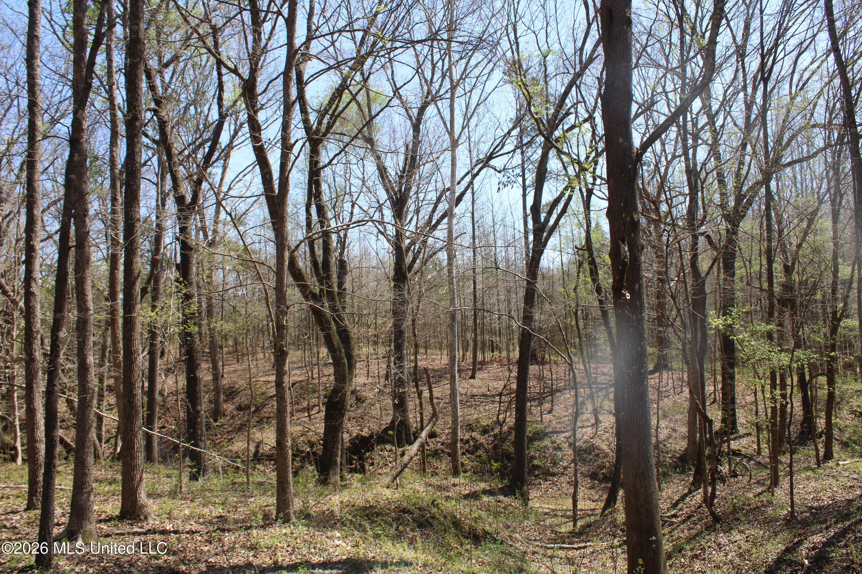 1200 Pottery Road Michigan City, MS 38647 - Photo 33 of 43 IMG_7629