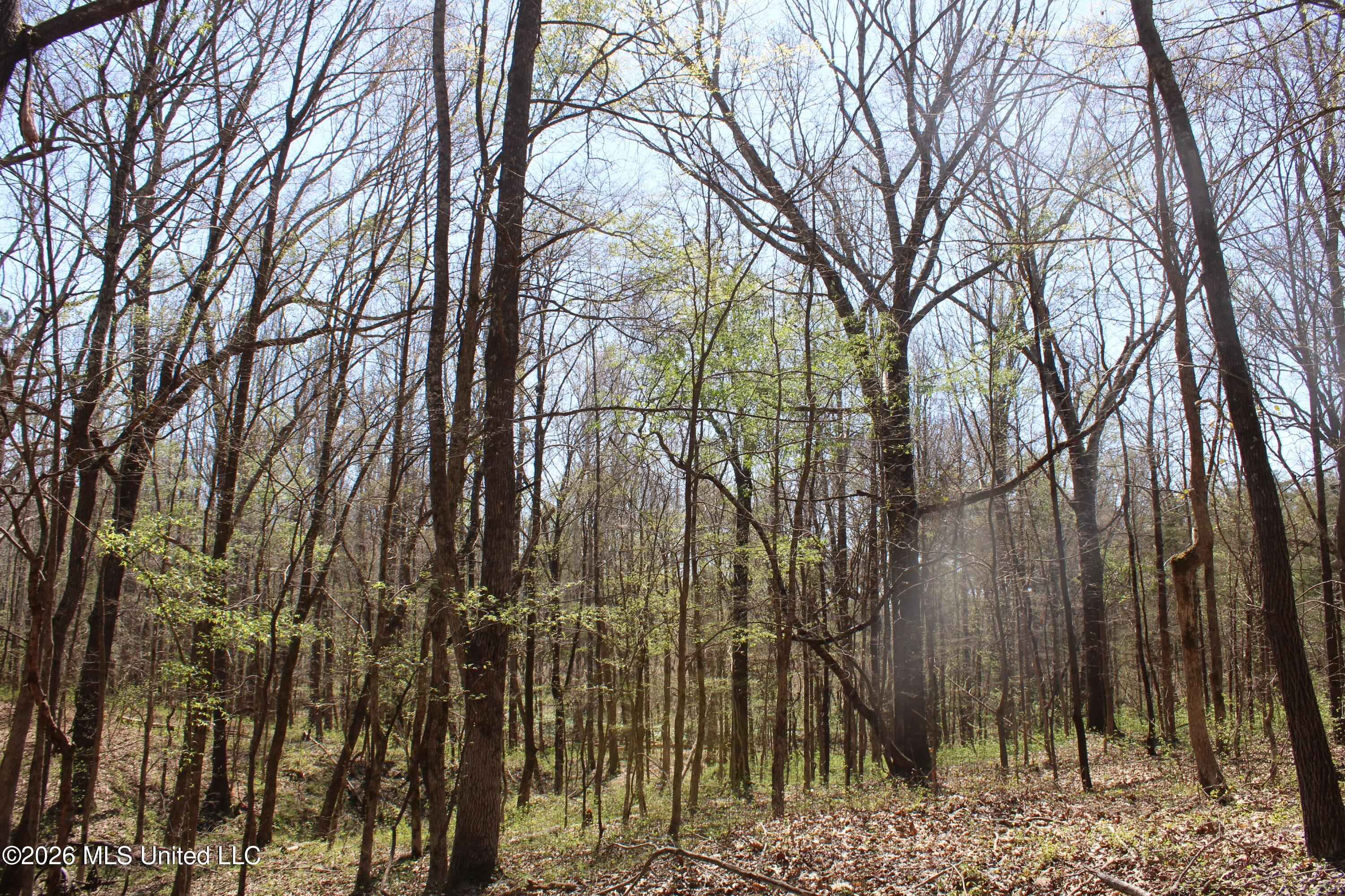 1200 Pottery Road Michigan City, MS 38647 - Photo 34 of 43 IMG_7630