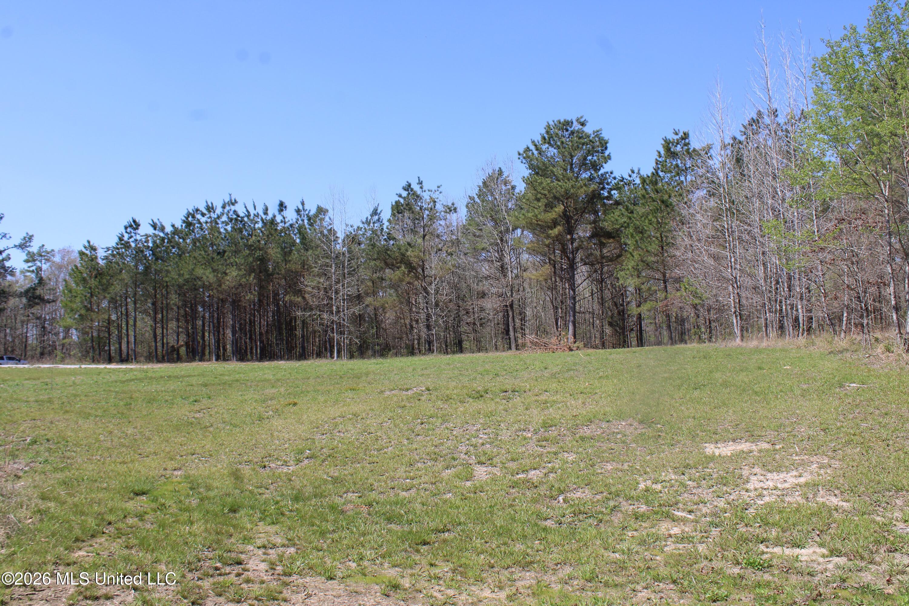 1200 Pottery Road Michigan City, MS 38647 - Photo 35 of 43 IMG_7631