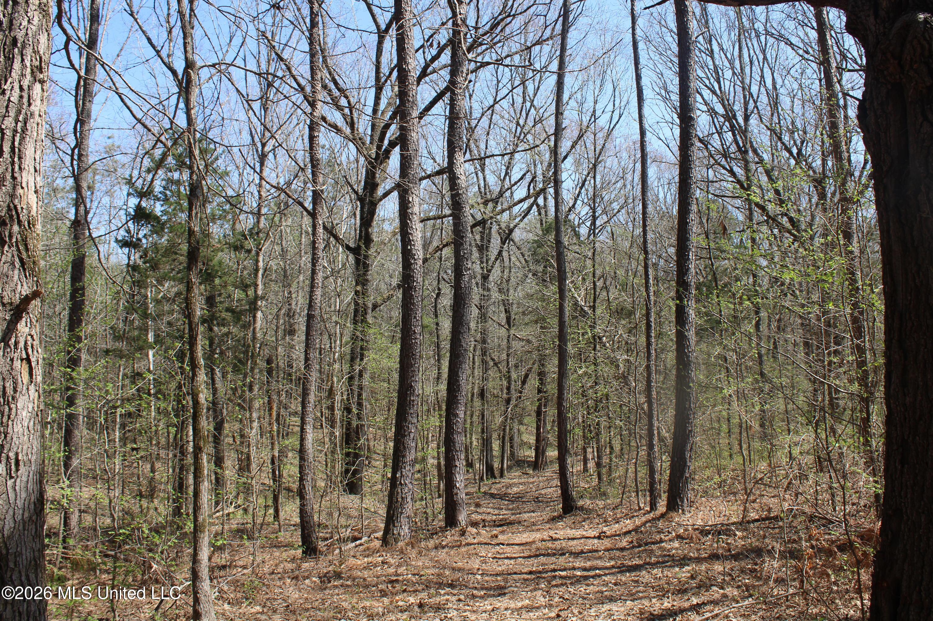 1200 Pottery Road Michigan City, MS 38647 - Photo 37 of 43 IMG_7633