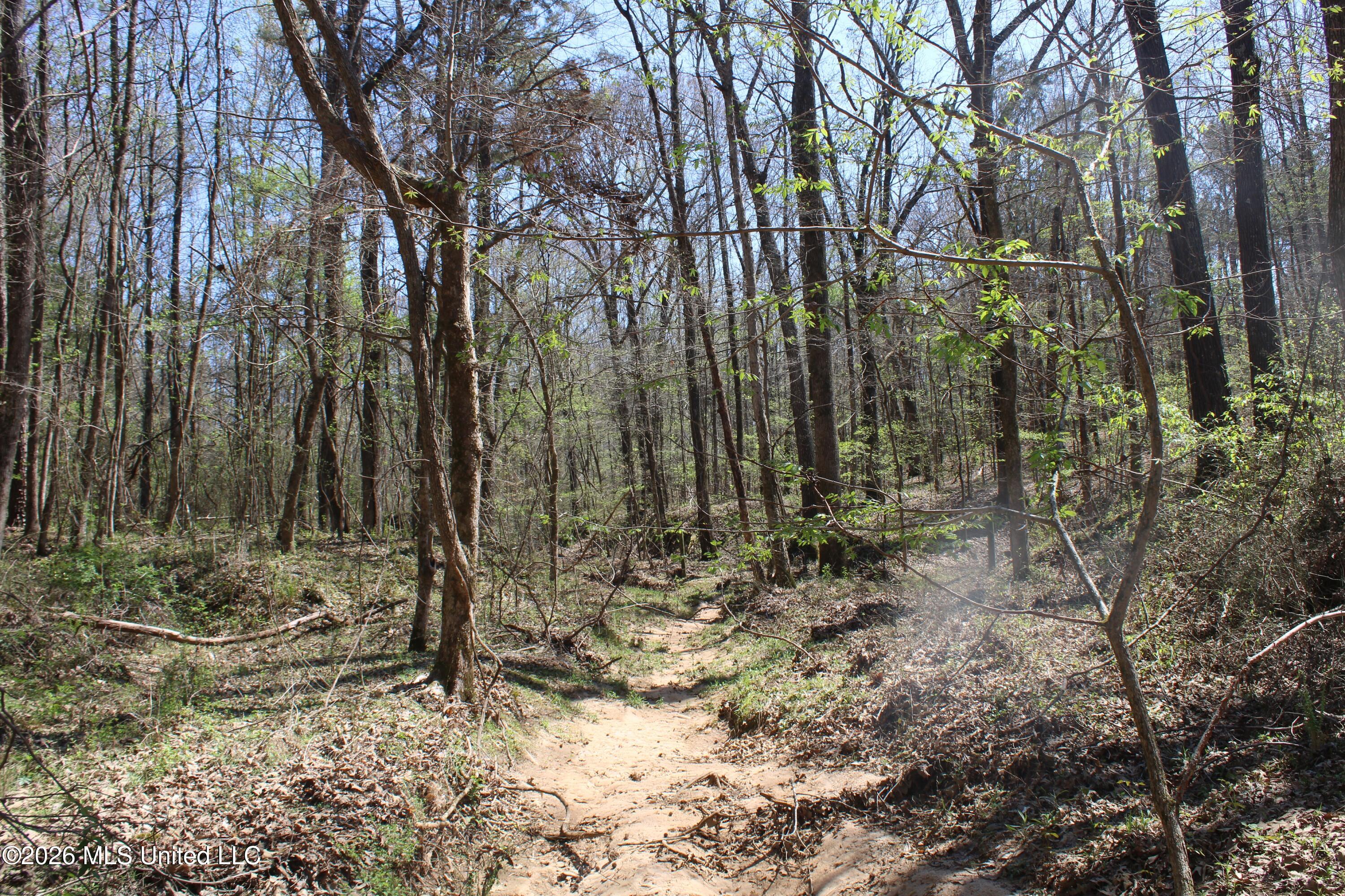 1200 Pottery Road Michigan City, MS 38647 - Photo 39 of 43 IMG_7635