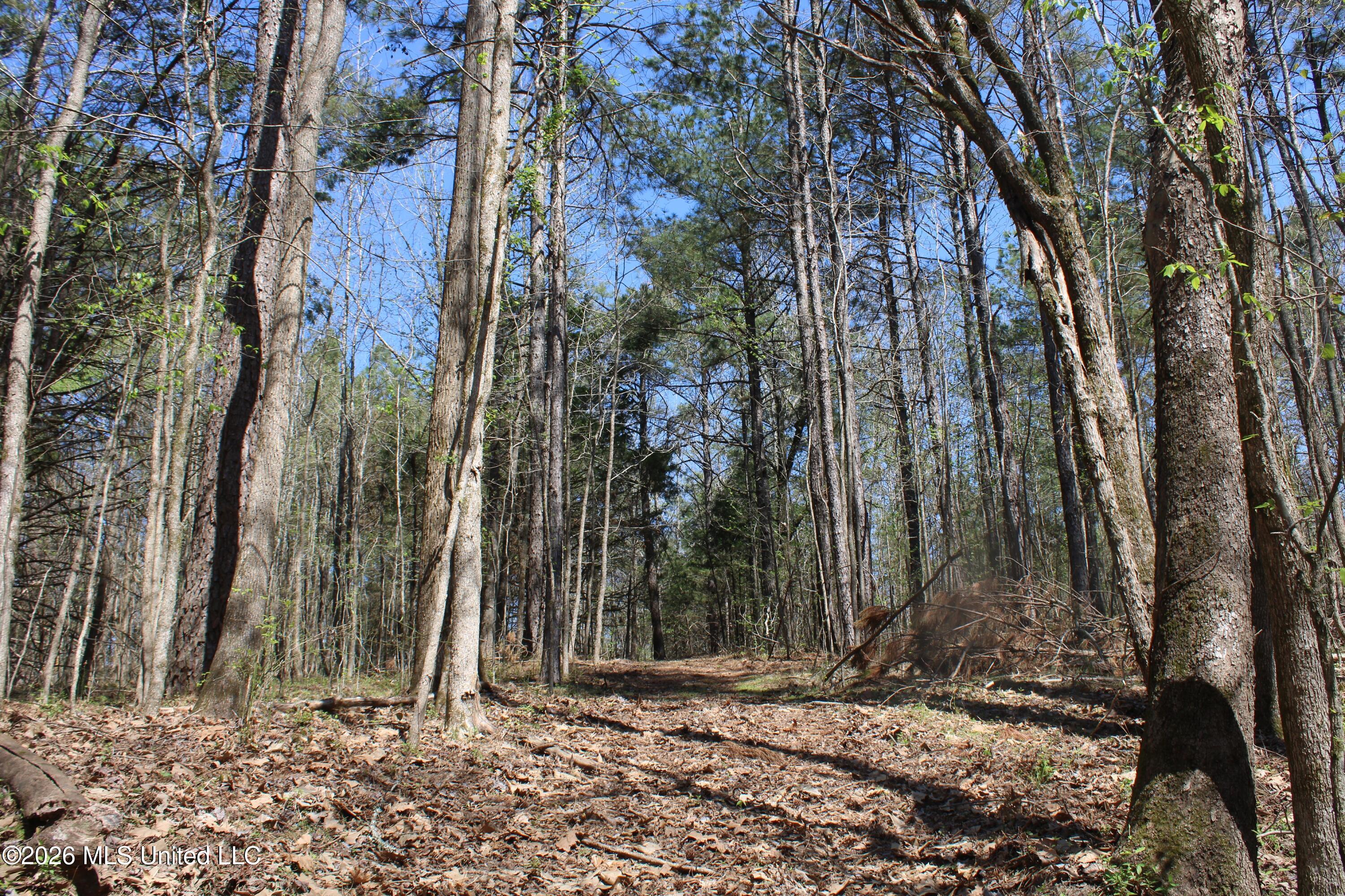 1200 Pottery Road Michigan City, MS 38647 - Photo 40 of 43 IMG_7636