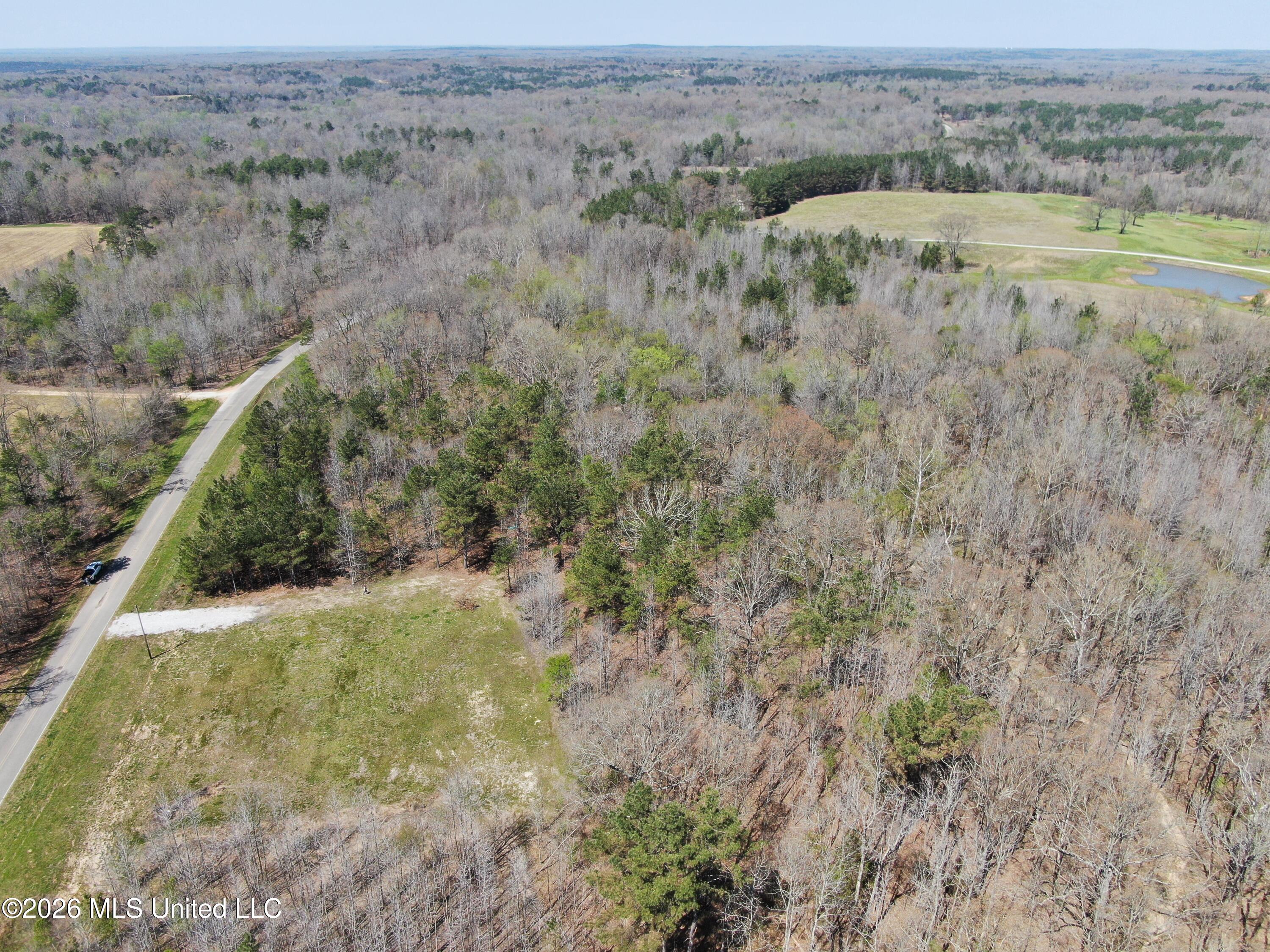1200 Pottery Road Michigan City, MS 38647 - Photo 4 of 43 DJI_0889