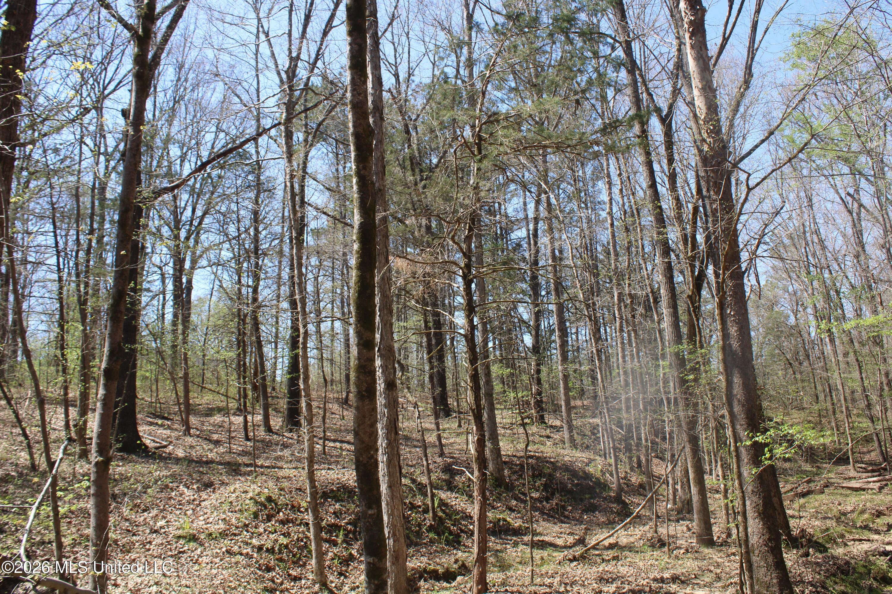 1200 Pottery Road Michigan City, MS 38647 - Photo 41 of 43 IMG_7637